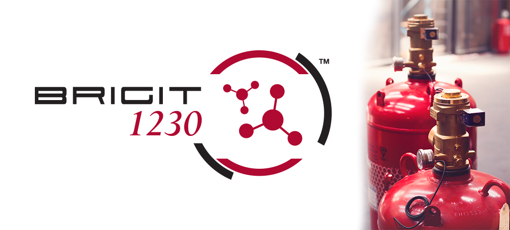 Brigit1230 Brigit1230